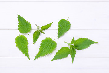 fresh nettle leaves