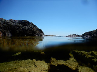 Halb und Halb - die Grenze zwischen der Unterwasserwelt und Luft