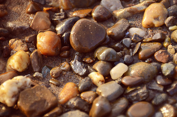 Wet stones at river coastline. Background, texture, toned