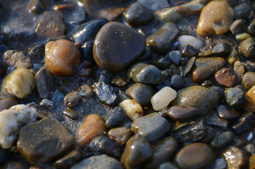 Wet stones at river coastline. Background, texture