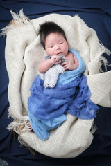 cute asian boy newborn portrait wrap blue fabric with his doll in basket on dark blue background fabric.