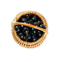 black currant isolated