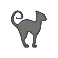 Halloween holiday colored icon black cat animal