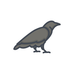 Halloween holiday colored icon raven animal bird