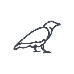 Halloween holiday line icon raven animal bird