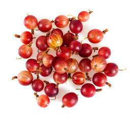 Red gooseberry isolated on white background