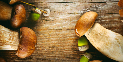 Ceps mushroom. Boletus closeup on wooden rustic table