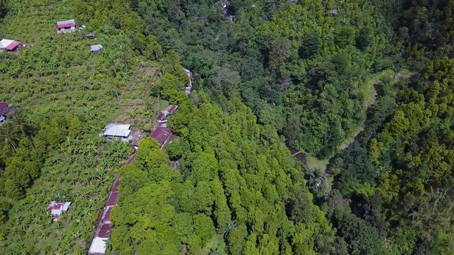 Beautiful aerial landscape footage of tropical forest and Gitgit waterfall from a drone flying forward in Bali, Indonesia. Shot in 4k resolution