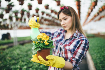 Attractive young woman working in greenhouse and enjoying in beautiful flowers. She holding and examining small seedlings.