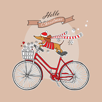 Romantic Christmas card with a cartoon picture of a dog Dachshund in jersey, scarf, Santa hat on a bicycle. Snowflakes in the basket. Vector illustration.