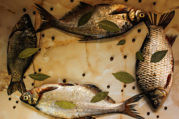 Four fresh raw fish with spices in the form of a frame