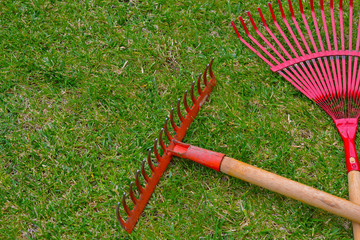 Red garden rakes on the grass in the summer garden. 