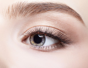 Obraz premium Female eye zone and brows with day makeup