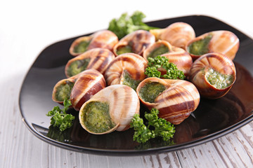 french gastronomy,escargot de bourgogne