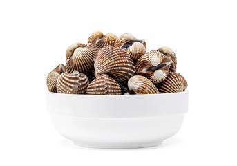 Cardiidae shellfish in white bowl isolated on white background