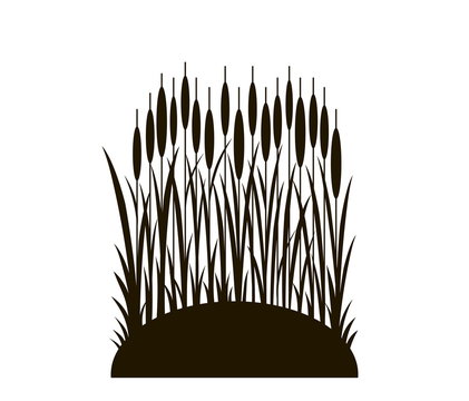 silhouette of the reed on the mound