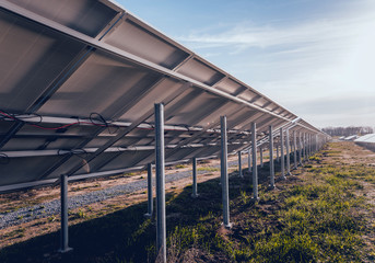 Obraz premium Solar panels, photovoltaic, alternative electricity source