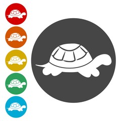 Turtle Icons set Flat Graphic Design - Illustration 