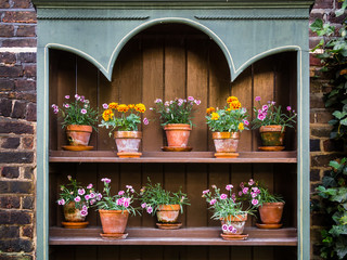Flower Pots on Outdoor Shelves