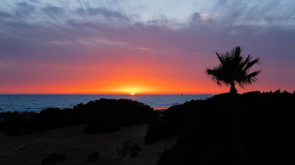 Fototapeta na wymiar Silhouettes at sunset on the beach of La Barrosa, Sancti Petri, Cadiz, Spain