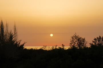Silhouettes at sunset on the beach of La Barrosa, Sancti Petri, Cadiz, Spain