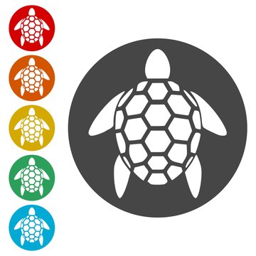 Turtle silhouette icons set - Illustration 