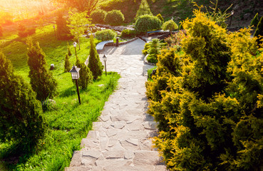 Landscape design. Beautiful background. Nature. Park