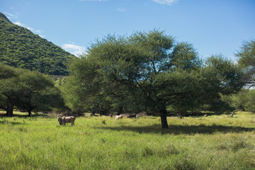 Obraz premium Travel To Mauritius