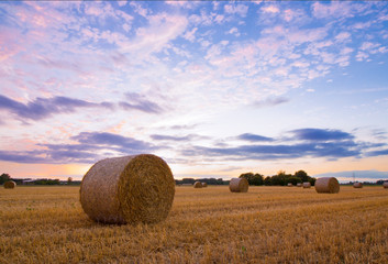Goldene Strohballen nach der Ernte im Spätsommer in der Abenddämmerung 