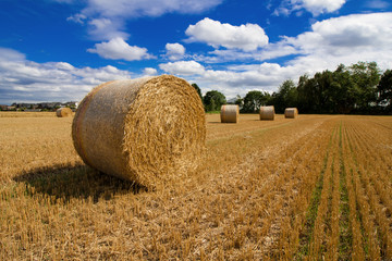 Strohballen nach der Ernte im Spätsommer