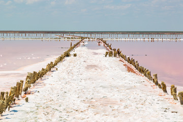 Salt sea water evaporation ponds with pink plankton colour