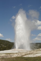 Old faithful