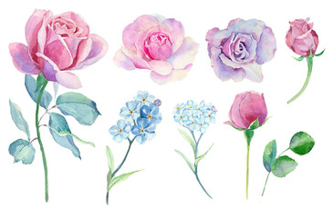 Watercolor set with different roses, wild flowers and leaves.