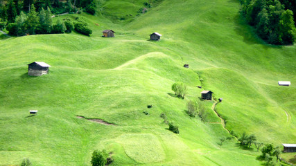 Grün