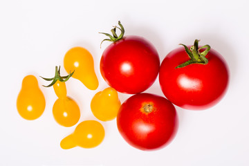 bunte Tomaten