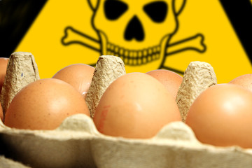 wb5 WarnBanner - german: Totenkopfsymbol / Mit Schadstoffen belastete Eier in einem Eierkarton -...
