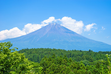 夏の富士山