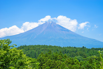 Fototapeta na wymiar 夏の富士山