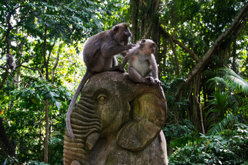 Monkeys on elephant sculpture, Ubud, Indonesia