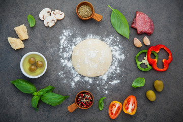 Obraz na płótnie Canvas Raw dough for homemade pizza with ingredients and herbs flat lay on dark stone background.
