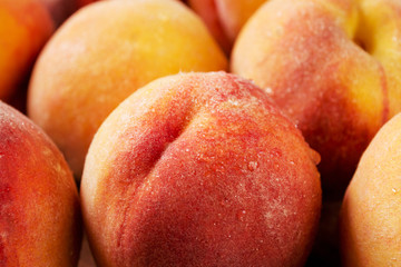 Perfect ripe peaches with water drops closeup