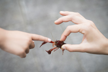 Parent and child who caught crayfish