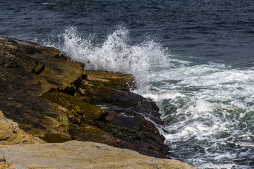waves crashing in a spray onto rock shoreline