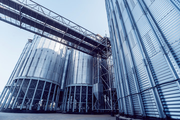 Fototapeta premium Modern silos for storing grain harvest. Agriculture.