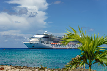 Cruise ship in crystal blue water with a palm on the front