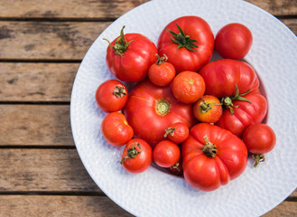 Tomates du jardin