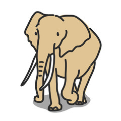 Elephant line drawing. hand drawn. vector illustration.