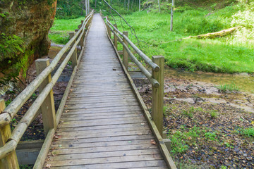 Boardwalk in Gauja National Park, Latvia