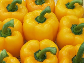 Bell pepper 