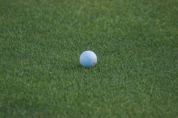 Golf ball on tee